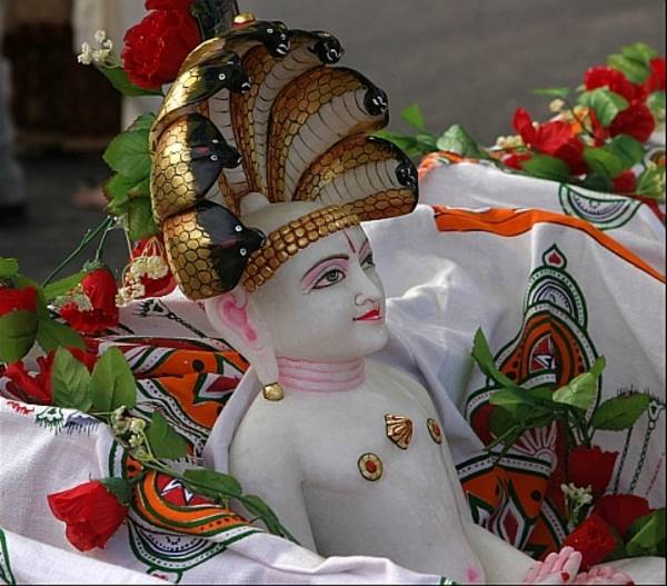 The ritual installing an idol in a temple – pratiṣṭhāmahot-sava – is a key event for image-worshipping Jains. The idol's snake-hood headdress identifies it as Pārśva, the 23rd Jina. The golden śrīvatsa on the chest is prominent on this Śvetāmbara figure