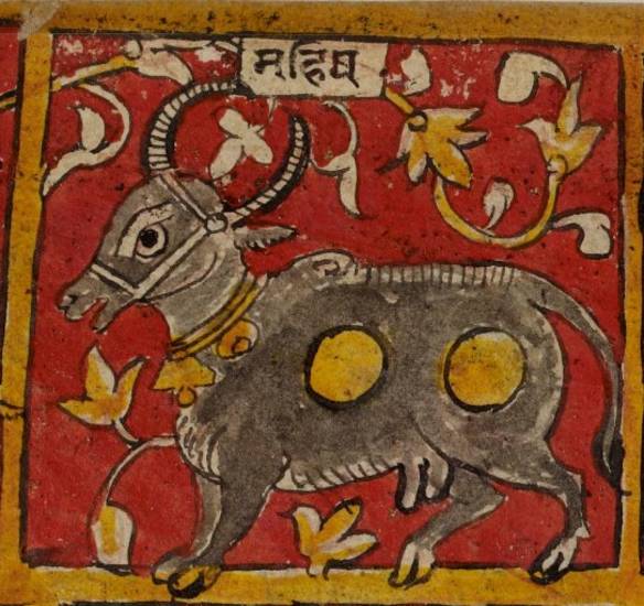 This detail from a manuscript painting depicts a buffalo. An important symbol in Jain myth, the buffalo is the emblem – lāñchana – of the 12th Jina, Vāsupūjyanatha or Lord Vāsupūjya. The buffalo is also the symbol of the Īśāna heaven, the second paradise.