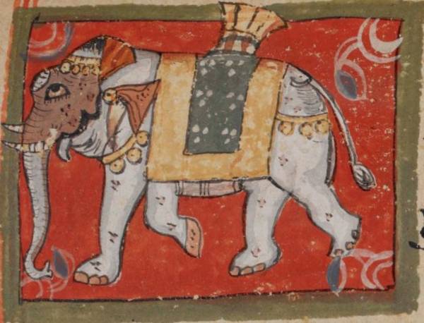 This manuscript painting of an elephant shows an important animal in Jain myth. The elephant is the emblem – lāñchana – of Ajita, the second Jina, and appears in parables, stories and auspicious dreams in Jain myths