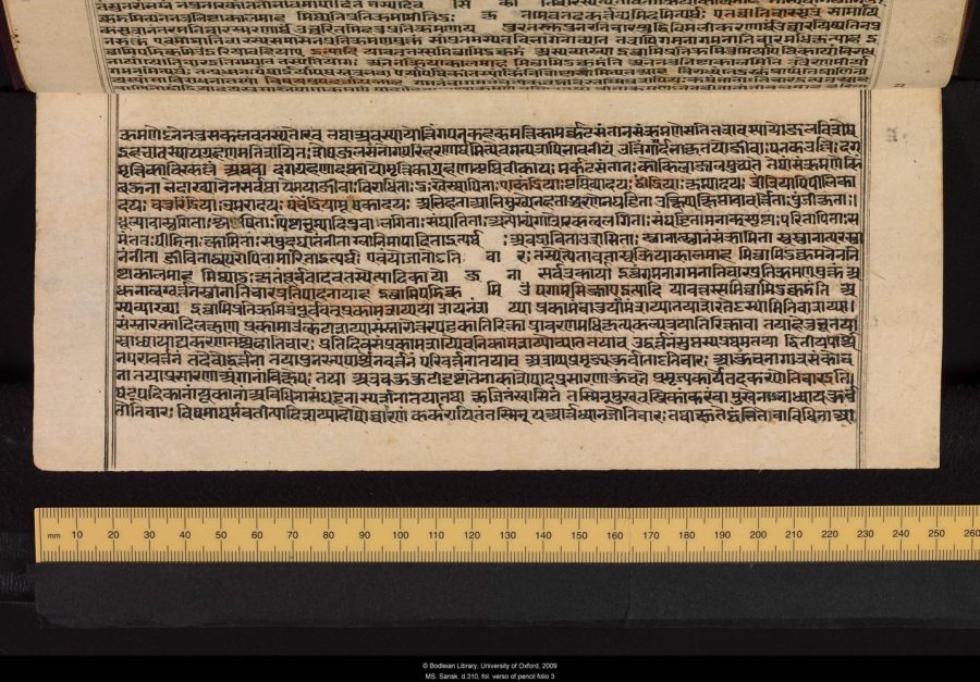 crl0005_Sansk_d.310_3_v.jpg