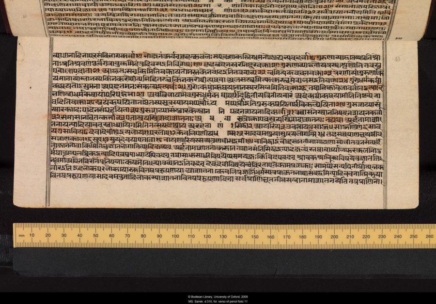 crl0021_Sansk_d.310_11_v.jpg
